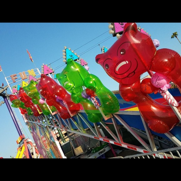 Meet your Posher, Che - Picture 1 of 1